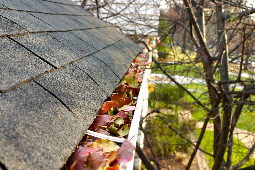 extend the life of your roof