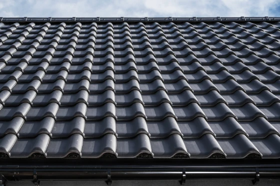 elegant-black-ceramic-tiles-house-roof-scaled image